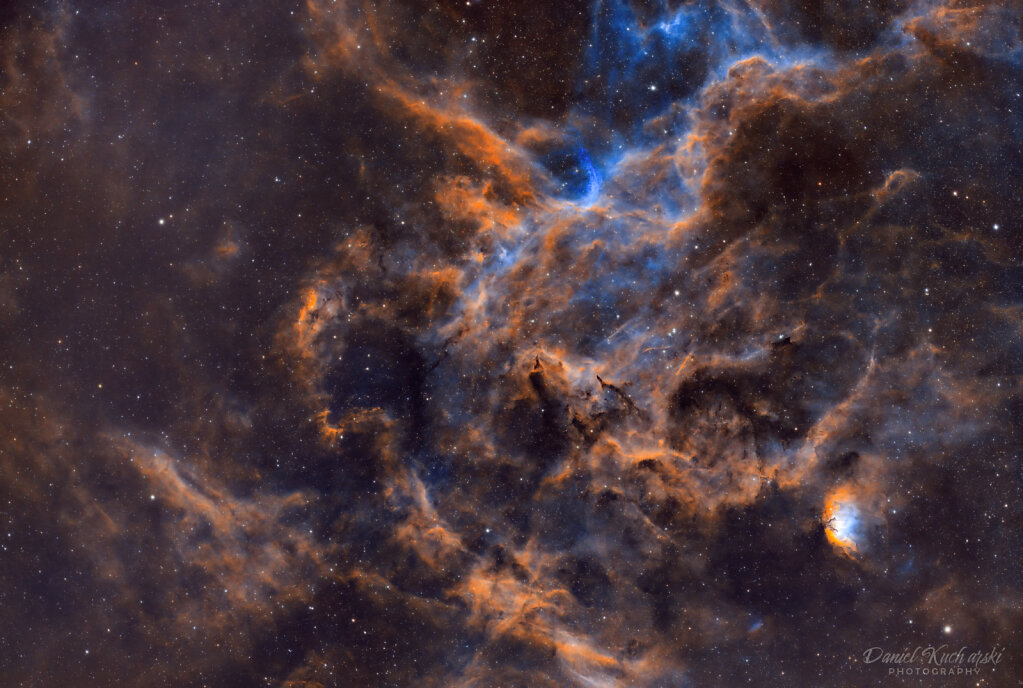 The Tulip Nebula